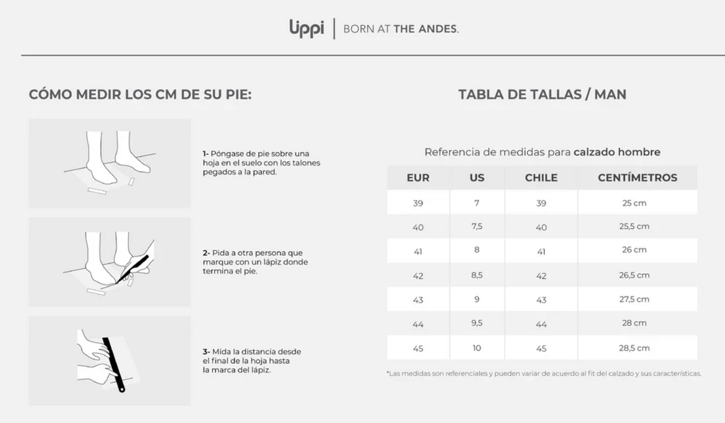 Botin Lippi Bravo Mid Gris