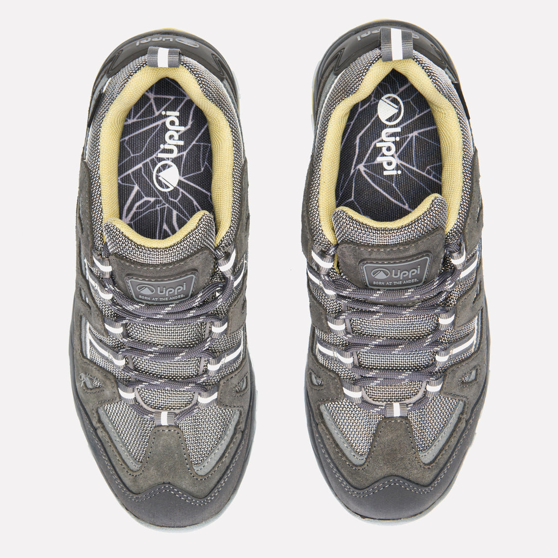 Zapatillas Puelo CS Low Jade Lippi Gris