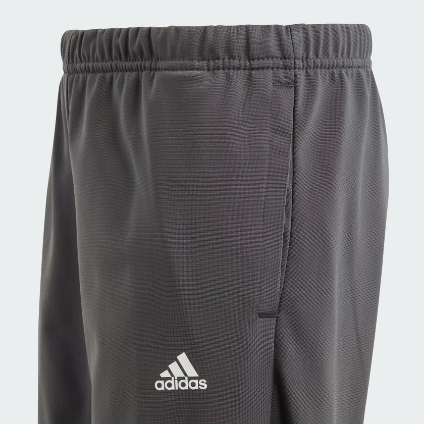 Buzo Adidas Essentials Big Logo Fucsia para niñas